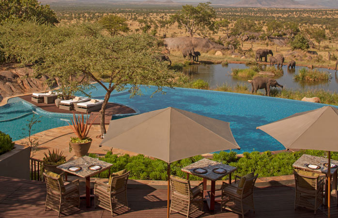 Serengeti-Serena-Lodge-hoteluri-cu-piscine-piscina-infinity