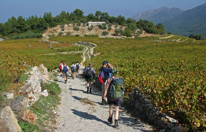 Precious Preţioasele vii Muscat de pe insula Samos 