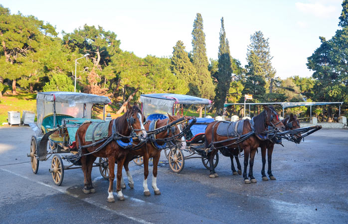 Ia-ți adio de la claxon de mașini și salută nechezatul de cal pentru că acest animal rămâne principala formă de transport în insule rustice din Marea Marmara