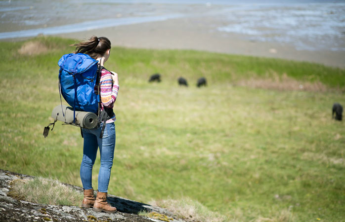  Ce face din Suedia destinația ideală pentru viitoarea ta excursie cu cortul? Faptul că ai acces public în aproape orice colțișor de natură