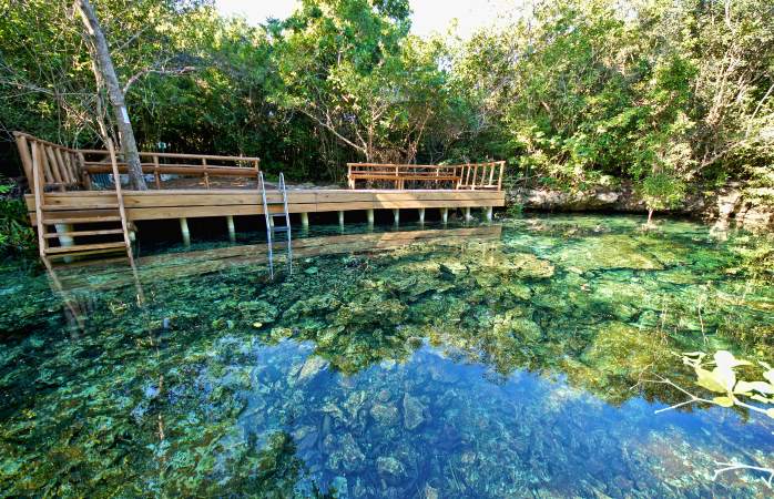 Una din apele în care vei jubila înotând, Parcul Ecologic Indigenous Eyes