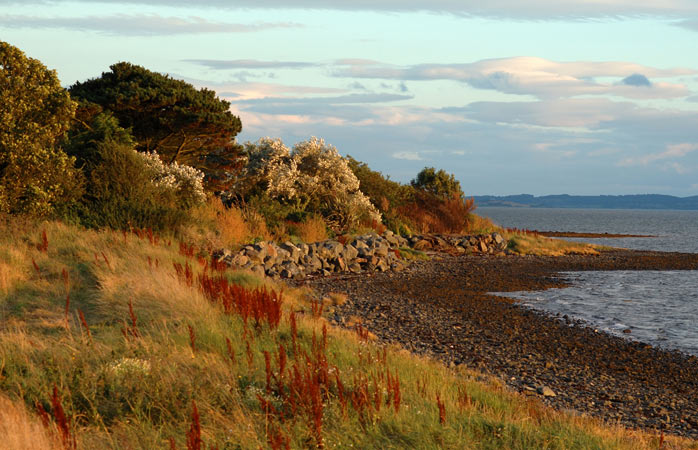  Răsfață-ți plămânii cu aerul proaspăt de toamnă de pe țărmul din Strangford Lough 