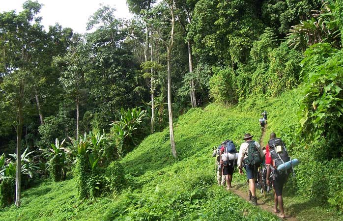 Afundați în pădurile din Papua Noua Guinee, drumeții trebuie că urmează negreșit traseul Kokoda