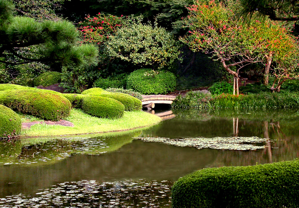 Fă o pauză de la efortul mental de a înțelege Japonia în Grădina Palatului Imperial din Tokyo