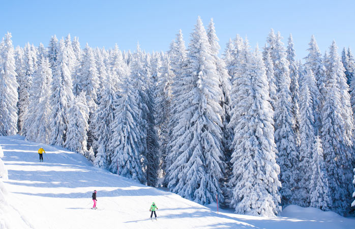  Unde vezi cu ochii numai alb, pitoresc și brazi îmbrăcați în zăpadă… asta descrie perfect stațiunea Kopaonik situată la o aruncătură de băț de patrie