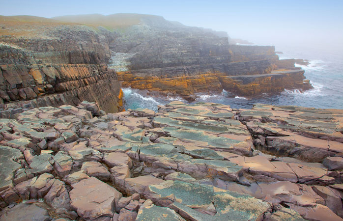 Mistaken Point și-a lui puzderie de fosile, (fără ”unele dintre” în față) CELE MAI vechi din lume