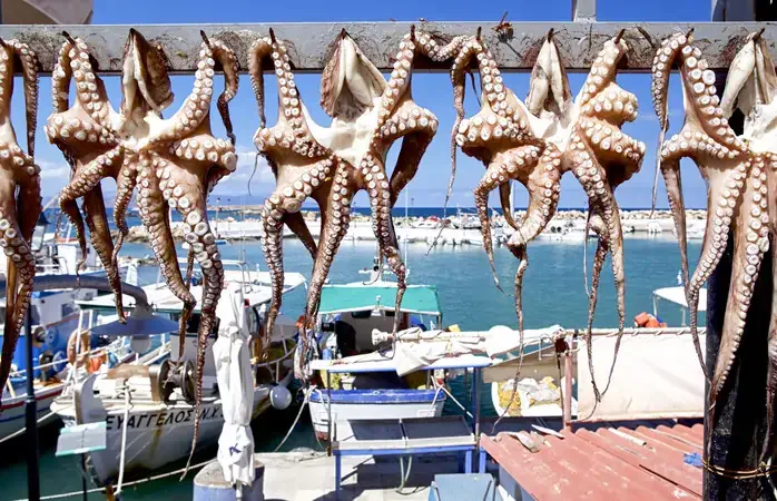 Octopus hanging out to dry in a row outside a taverna in Chania, Crete in Greece.