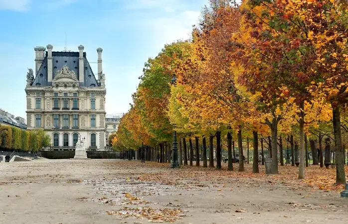 Avenue of trees in autumn leading to the Musee du Louvre in Paris France