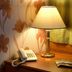Facilitățile camerei