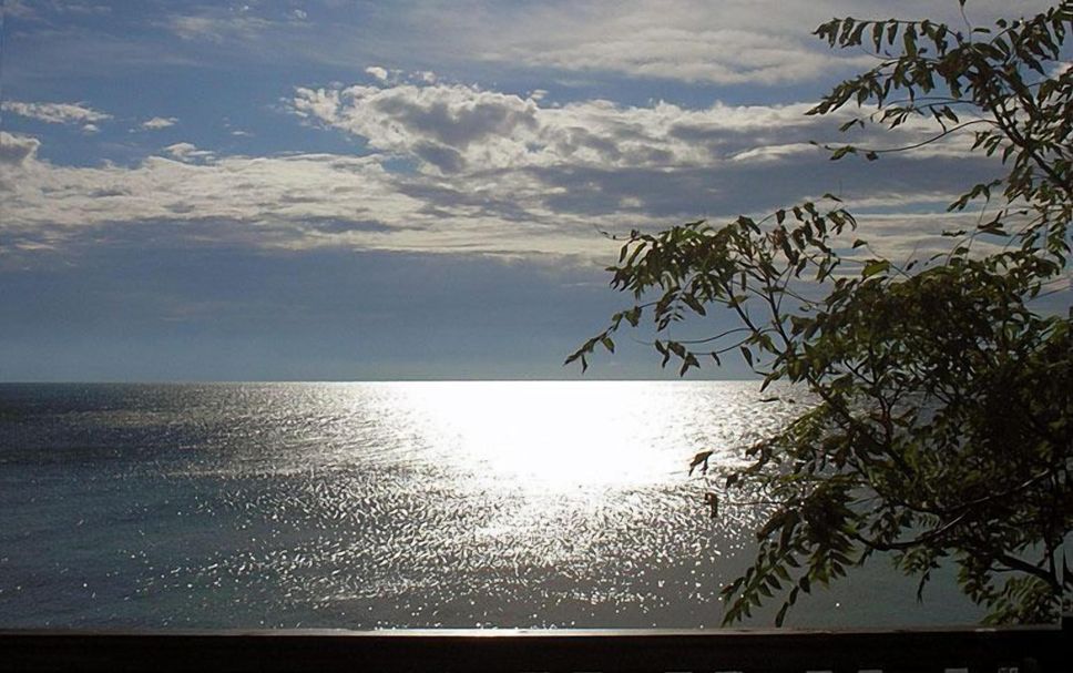 Balcon Fotografie