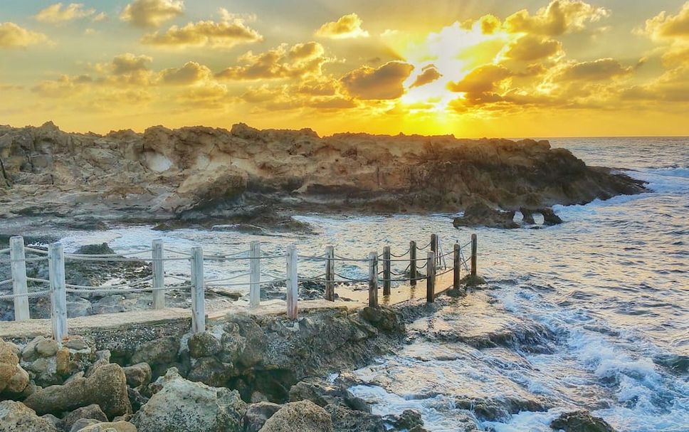 Altul Fotografie