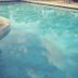 Piscină