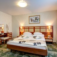 Izmailovo Alfa Hotel